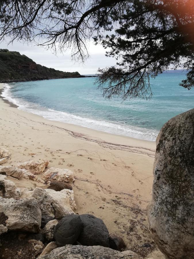 Appartamenti Le Conchiglie E Le Stelle Marine Cala Gonone Εξωτερικό φωτογραφία