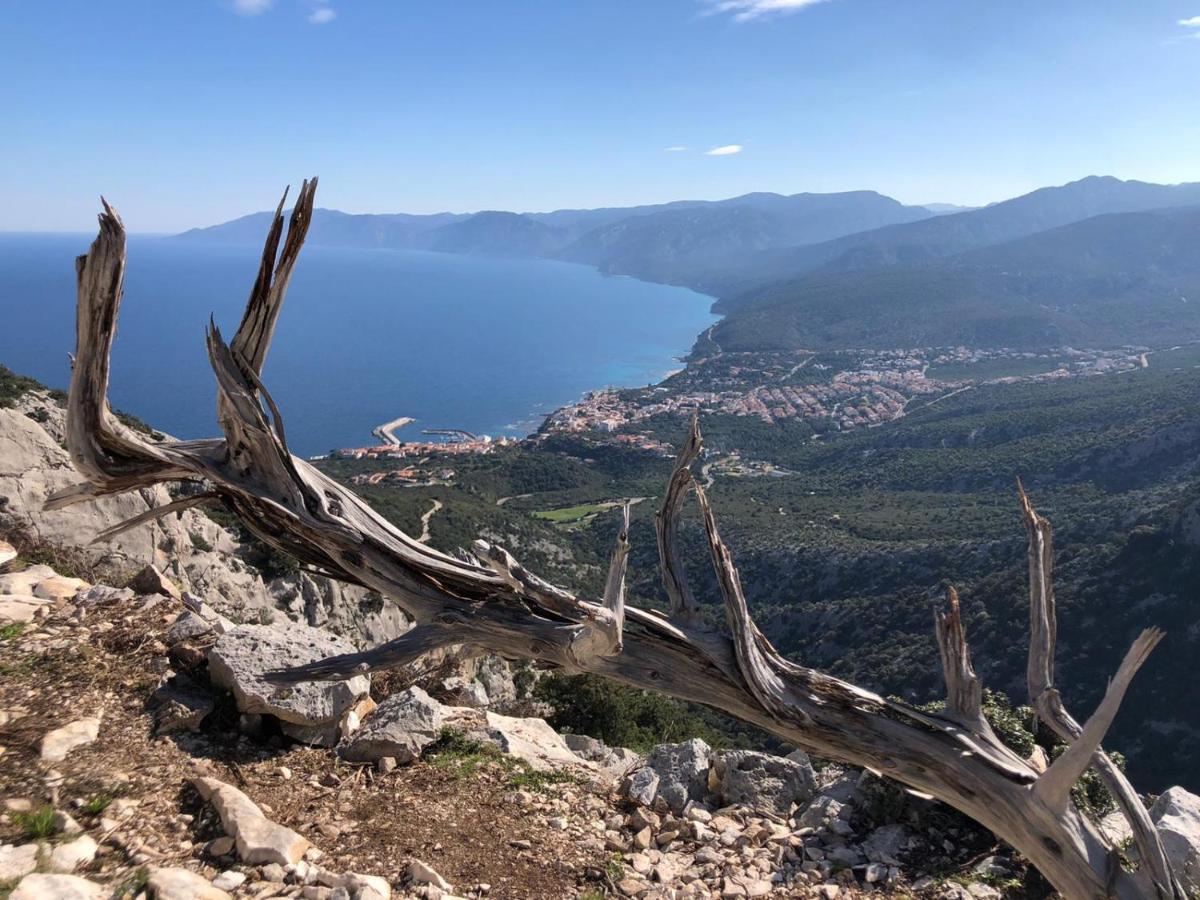 Appartamenti Le Conchiglie E Le Stelle Marine Cala Gonone Εξωτερικό φωτογραφία