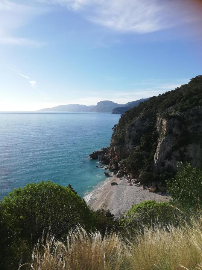 Appartamenti Le Conchiglie E Le Stelle Marine Cala Gonone Εξωτερικό φωτογραφία