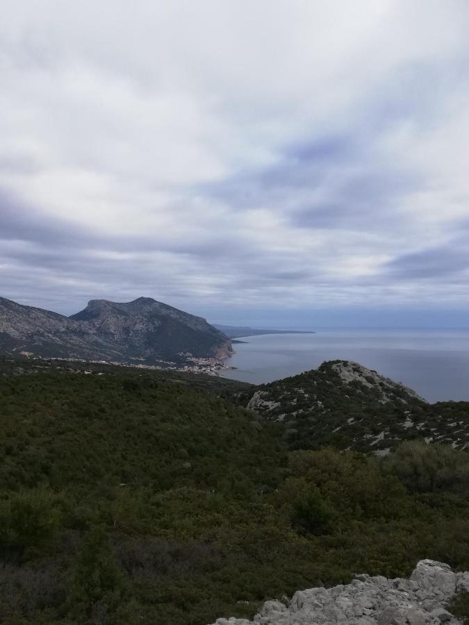 Appartamenti Le Conchiglie E Le Stelle Marine Cala Gonone Εξωτερικό φωτογραφία