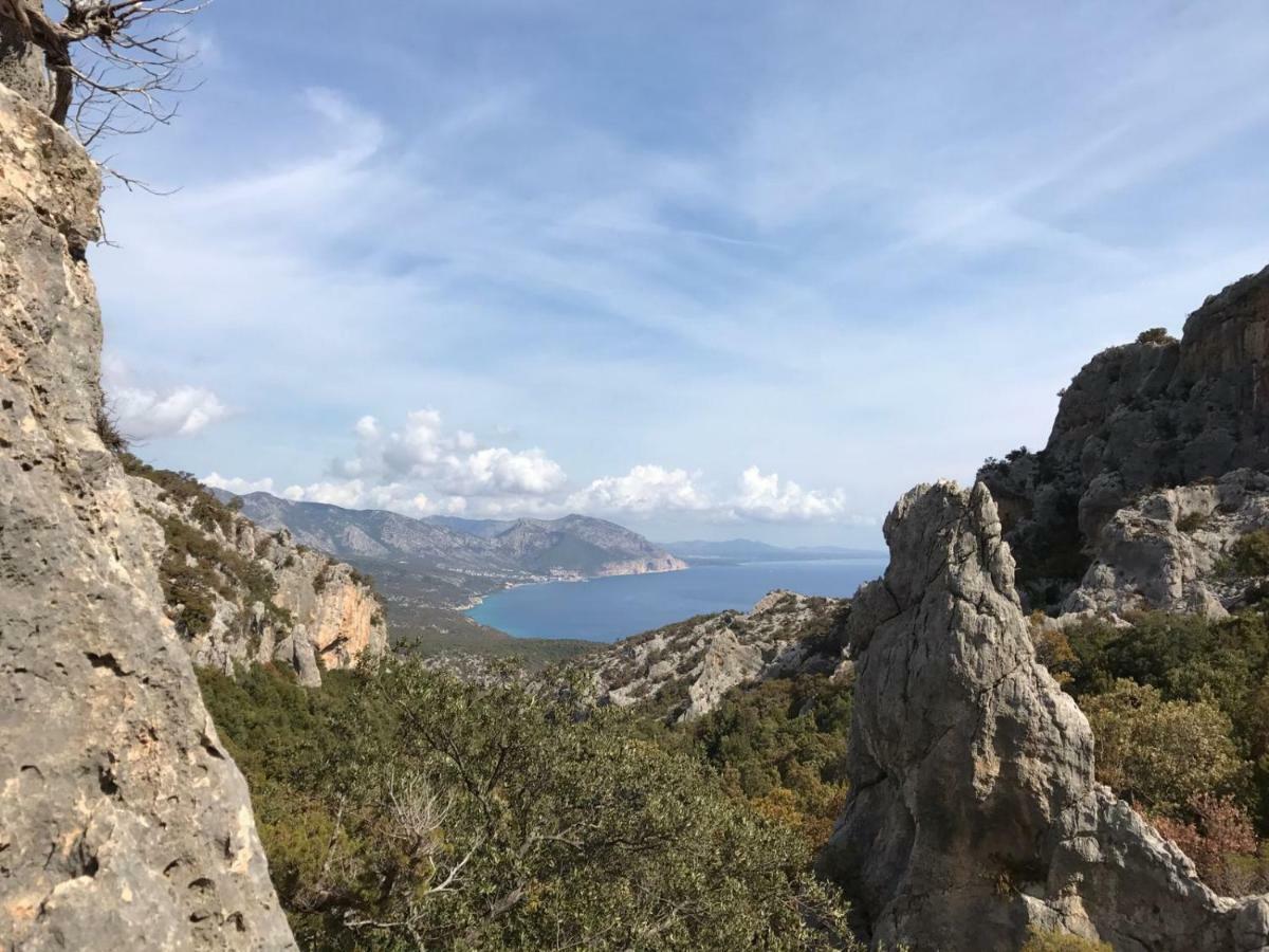 Appartamenti Le Conchiglie E Le Stelle Marine Cala Gonone Εξωτερικό φωτογραφία