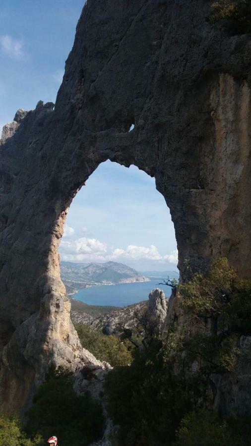 Appartamenti Le Conchiglie E Le Stelle Marine Cala Gonone Εξωτερικό φωτογραφία
